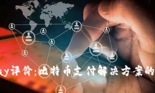 _bitpay评价:比特币支付解决方案的利与弊