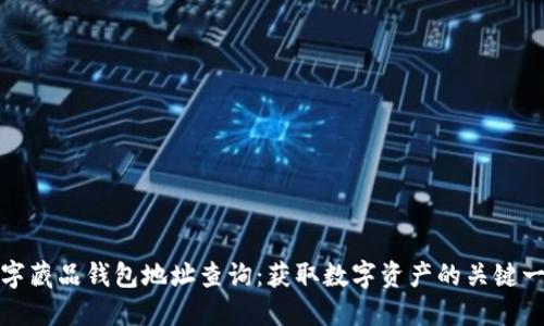 数字藏品钱包地址查询:获取数字资产的关键一步