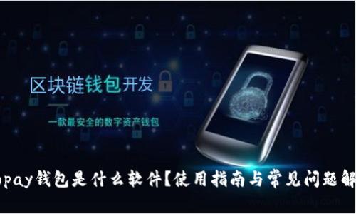 Gopay钱包是什么软件?使用指南与常见问题解答