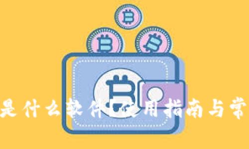 Gopay钱包是什么软件?使用指南与常见问题解答