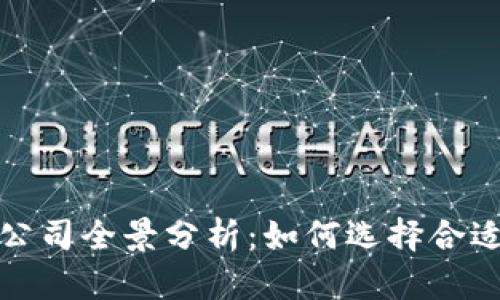 全球区块链公司全景分析:如何选择合适的合作伙伴