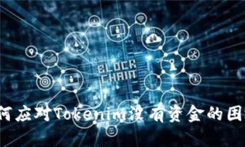 如何应对Tokenim没有资金的困境?