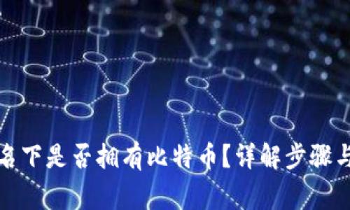 如何查询名下是否拥有比特币?详解步骤与常见问题