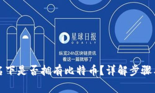 如何查询名下是否拥有比特币?详解步骤与常见问题