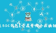 什么是BSC钱包?它属于哪个区块链网络?