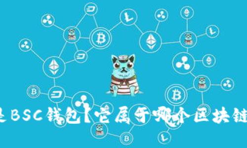 什么是BSC钱包？它属于哪个区块链网络？