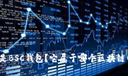 什么是BSC钱包？它属于哪个区块链网络？