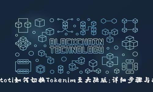 biatoti如何切换Tokenim至大陆版:详细步骤与指南