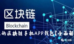 如何开发高效的区块链手机APP钱包?全面解析与
