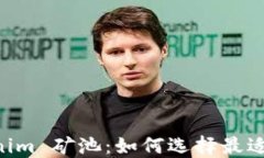 深入了解 Tokenim 矿池:如何选择最适合你的挖矿
