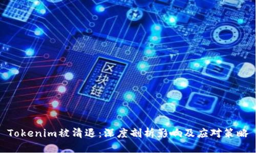 Tokenim被清退:深度剖析影响及应对策略