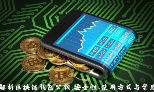 深入解析区块链钱包公钥:安全性、使用方式与常见问题