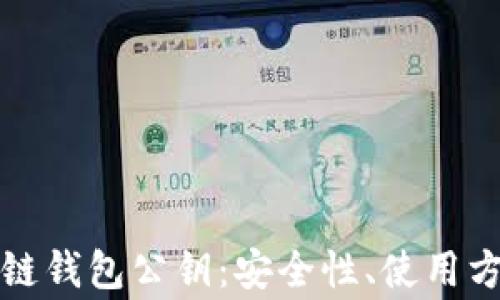 深入解析区块链钱包公钥:安全性、使用方式与常见问题