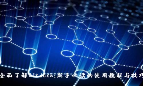 全面了解Bitdock:新手必读的使用教程与技巧