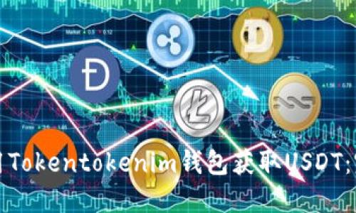 如何使用Tokentokenim钱包获取USDT:完整指南