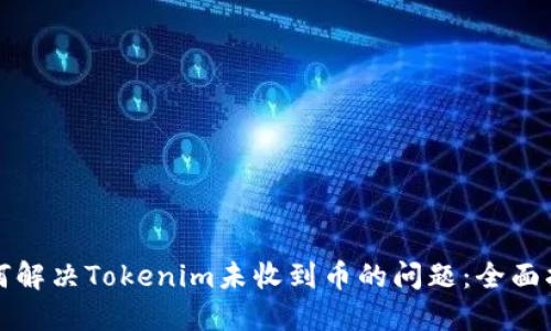 如何解决Tokenim未收到币的问题：全面指南