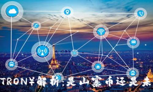   
波场币（TRON）解析：是山寨币还是未来之星？