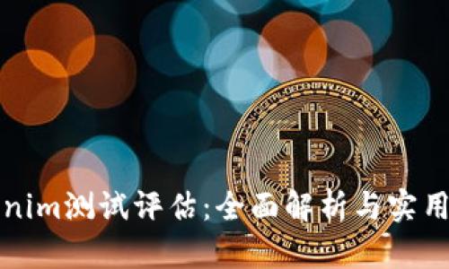 Tokenim测试评估：全面解析与实用指南