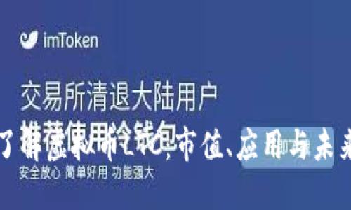 深入了解虚拟币LTC：市值、应用与未来发展