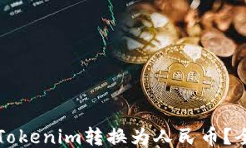
如何将Tokenim转换为人民币？全面指南