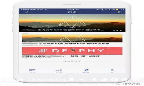 如何解决Tokenim导入币后消失的问题