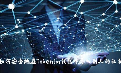 如何安全地在Tokenim钱包中导入别人的私钥