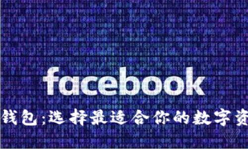 十大虚拟币钱包：选择最适合你的数字资产管理工具