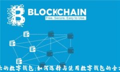 探索最大的数字钱包：如何选择与使用数字钱包
