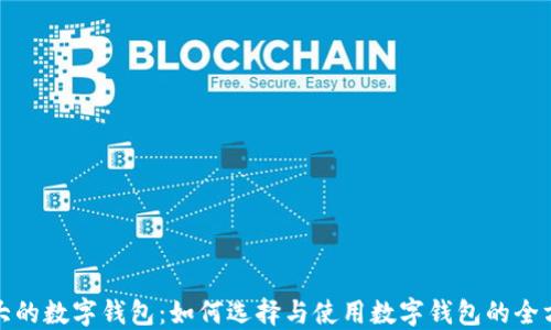 
探索最大的数字钱包：如何选择与使用数字钱包的全方位指南