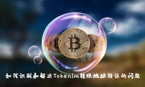 如何识别和解决Tokenim转账地址错误的问题