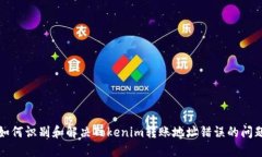 如何识别和解决Tokenim转账地址错误的问题