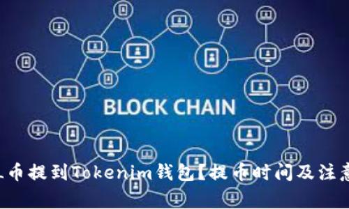 如何将FIL币提到Tokenim钱包？提币时间及注意事项解析