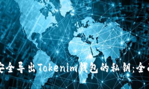 如何安全导出Tokenim钱包的私钥：全面指南