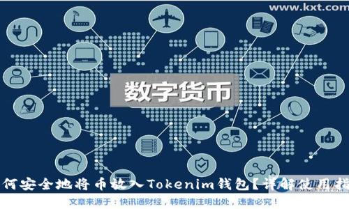 如何安全地将币放入Tokenim钱包？详解使用指南