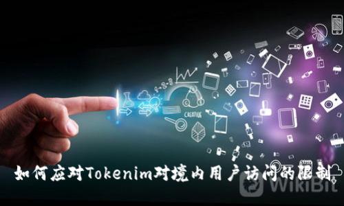 如何应对Tokenim对境内用户访问的限制
