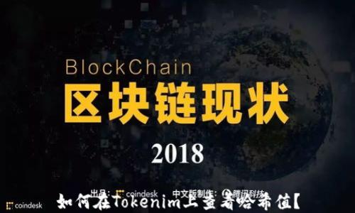 
如何在Tokenim上查看哈希值？