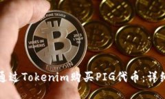 如何通过Tokenim购买PIG代币：详细指南