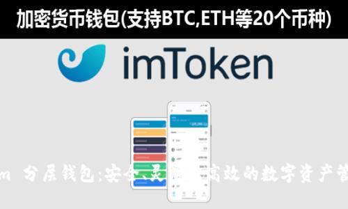 Tokenim 分层钱包：安全、灵活且高效的数字资产管理方案