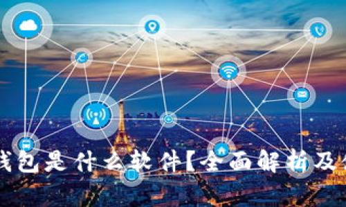 虚拟币钱包是什么软件？全面解析及使用指南
