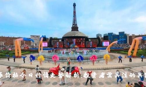 狗狗币价格今日行情走势解析：投资者需关注的关键因素