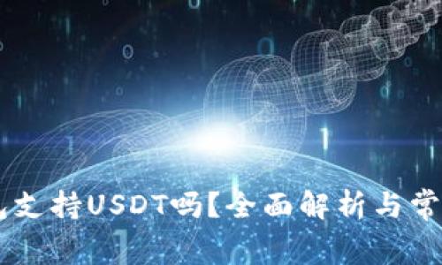 Ledger钱包支持USDT吗？全面解析与常见问题解答
