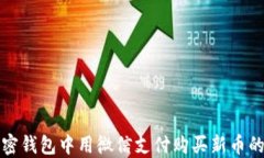 如何在加密钱包中用微信支付购买新币的完整指