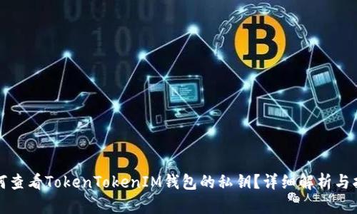 如何查看TokenTokenIM钱包的私钥？详细解析与指南