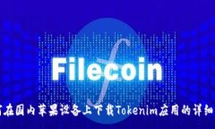:  如何在国内苹果设备上下载Tokenim应用的详细指