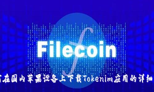 :  
如何在国内苹果设备上下载Tokenim应用的详细指南