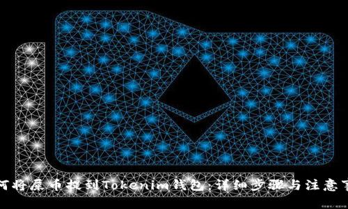 如何将屎币提到Tokenim钱包：详细步骤与注意事项