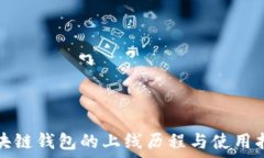  区块链钱包的上线历程与使用指南