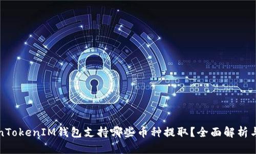 TokenTokenIM钱包支持哪些币种提取？全面解析与指南