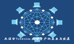 天涯分Tokenim：数字资产的未来与发展
