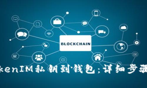 如何导入TokenIM私钥到钱包：详细步骤与注意事项
